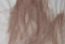 Άνθρωπος Εν Κινήσει